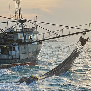 The MSC Objections Process