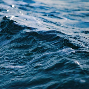 Supporting sustainability improvements in the Sonora shrimp fishery