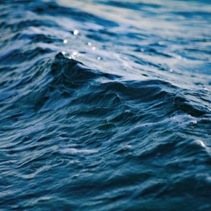 Pêcherie de thon germon et albacore et d’espadon en Polynésie Française