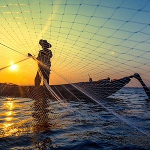 Fonds d'Appui pour la Pêche Durable (OSF)