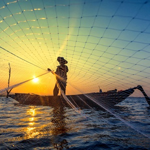 Le Fonds d'Appui pour la Pêche Durable