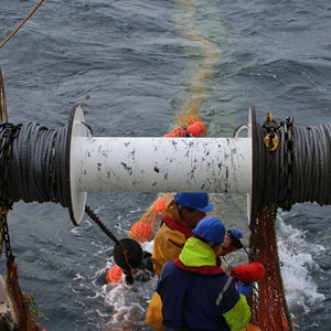 La recherche scientifique