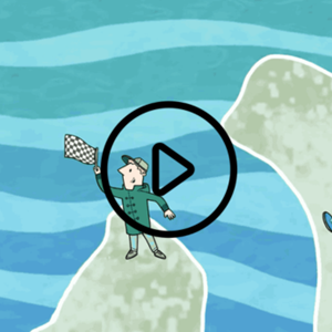Gestion efficace des pêcheries