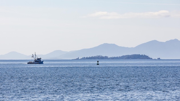 Rewarding long-term sustainability commitments