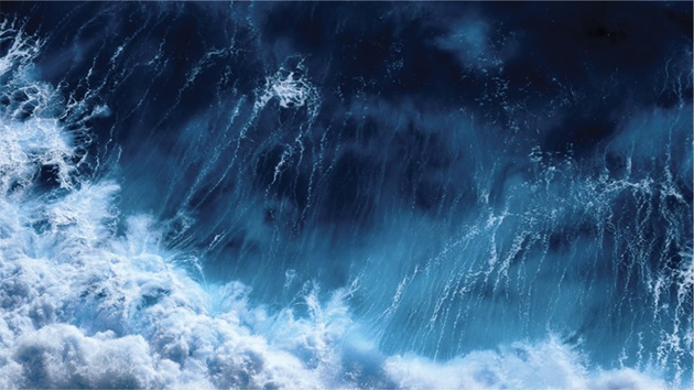 MSC statement on the ratification of the High Seas Treaty