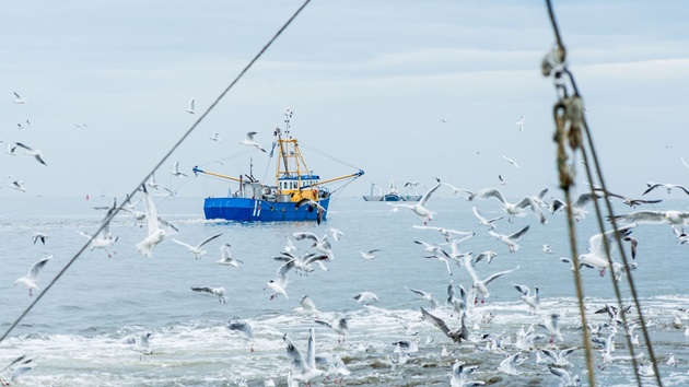 Managing impacts on vulnerable species