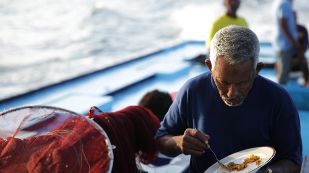 MSC statement in response to the publication of the EAT-Lancet Commission on healthy, sustainable, and just food systems