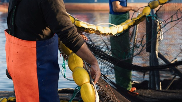 Consultation sur les révisions du Référentiel Pêcheries