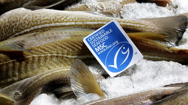 Le label MSC, garantie et durabilité