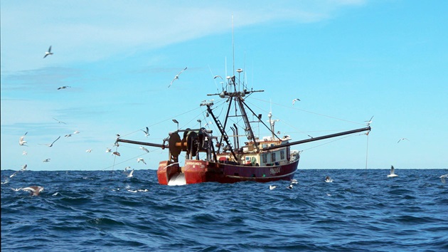 Bottom trawling and carbon footprint
