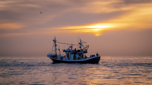 The state of the world’s fisheries: Six takeaways