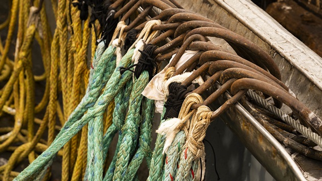 The MSC Fisheries Standard Toolbox