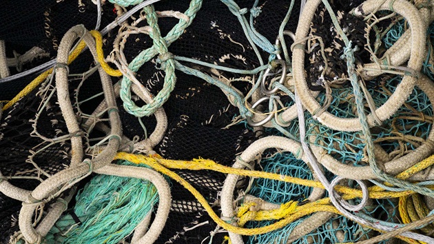 Changes to the Objections Process