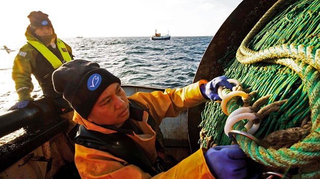 How MSC certified fisheries are improving