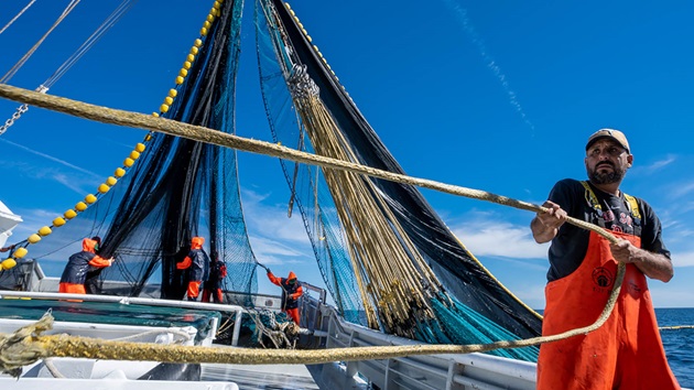 Fisheries Program Revisions