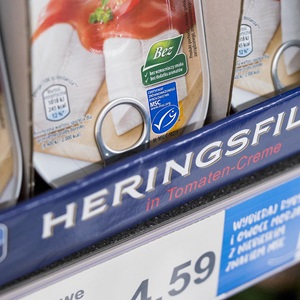 Apply to use the MSC label