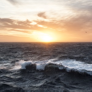 Developing our Standards