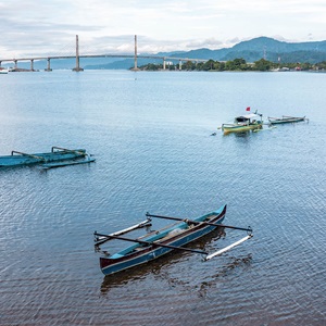 The Blue Transformation