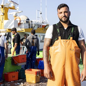 Iberian sardines return
