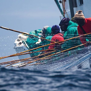 The MSC Improvement Program