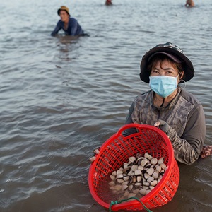 The Hands-on approach