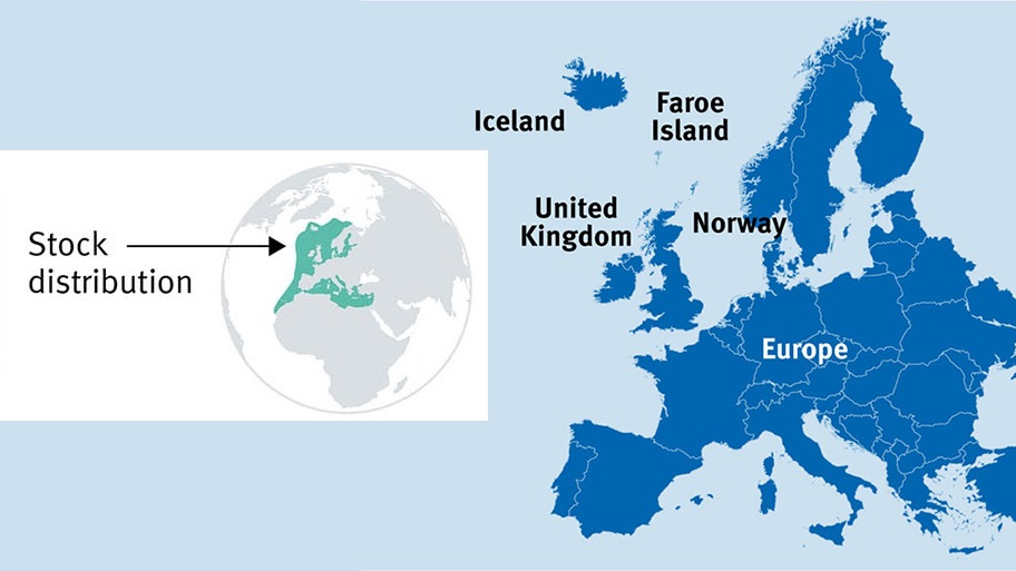 North East Atlantic pelagic fish distribution and fishing nations
