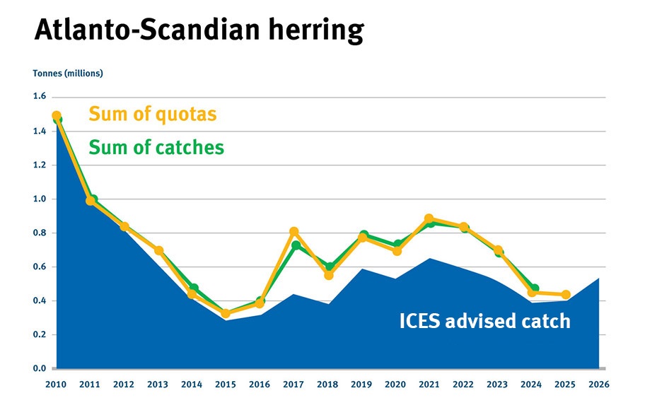 North East Atlantic Atlanto Scandian herring catch vs advice graph