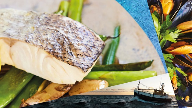 The Ocean Cookbook 2024