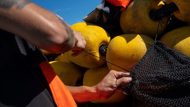 Summary of Amendments