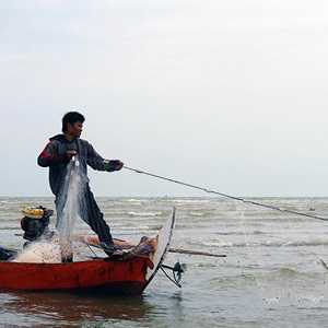 Indonesia Central Java prawn: Environmental DNA analysis