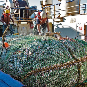 South African hake trawl: Trialling innovative technologies