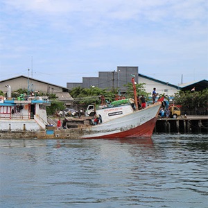 Indonesia longline tuna and swordfish: Enhancing observer programs