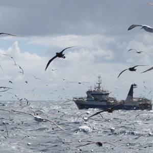 Our collective impact