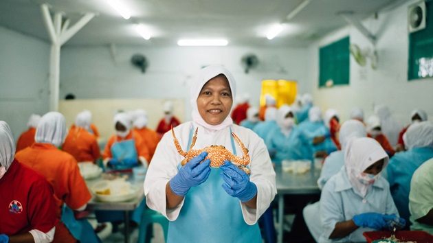 The women of the Indonesia Blue Swimmer Crab fishery