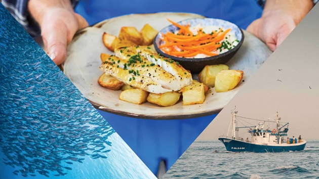 The Ocean Cookbook 2025