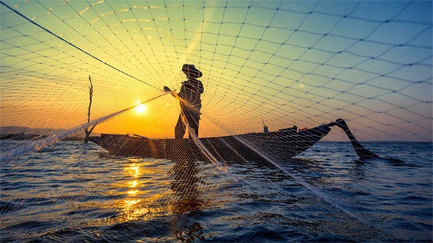 Ocean Stewardship Fund