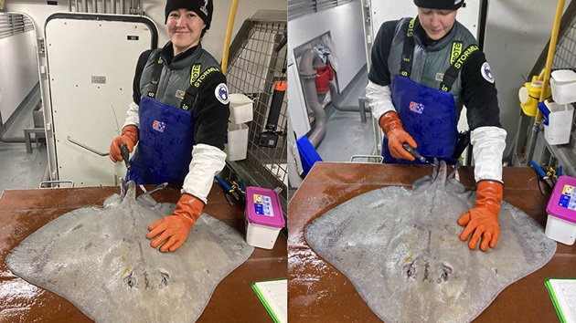 An interview with Colette