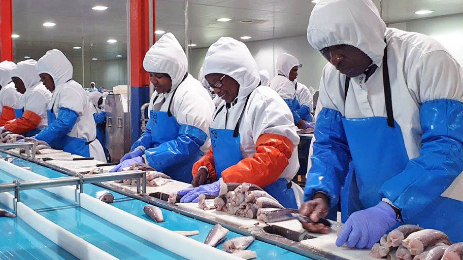 Women in protective overalls in a line, cutting hake fish in factory 