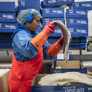 Why get your MSC certified?