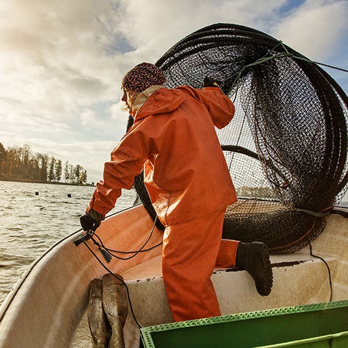 Documents relatifs aux pêcheries