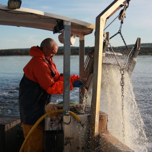 Helping fishers identify endangered species