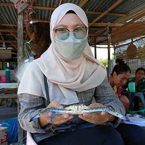 Innovative DNA methods to age blue swimming crabs in Indonesia