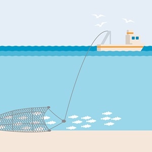 Bottom trawl fishing
