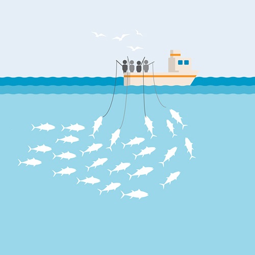 Pole and line fishing