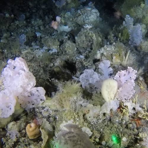 Mapping seabed floors to manage climate change