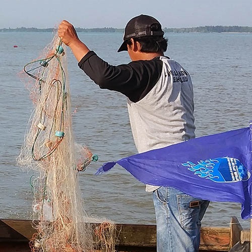 Strengthening traceability in the Kotabaru shrimp fishery