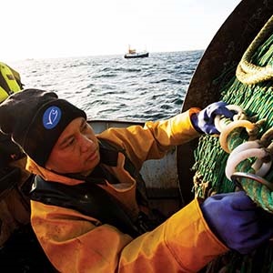 Improvements in MSC certified fisheries