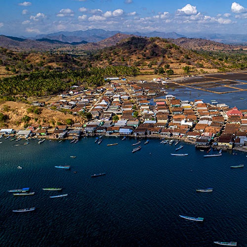 Rebuilding snapper and grouper stocks in Indonesia