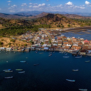 Rebuilding snapper and grouper stocks in Indonesia