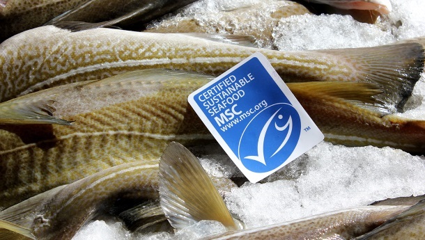 The MSC label, assurance and sustainability